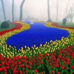 Meet your Posher, Earl